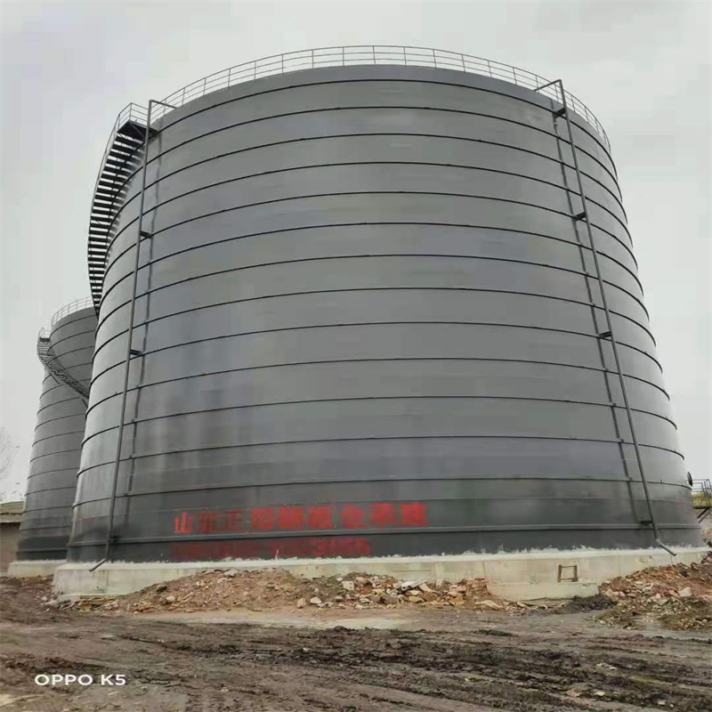 邻水3万吨大型钢板库