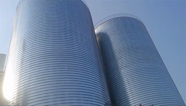 邻水2座混凝土高架卷板仓